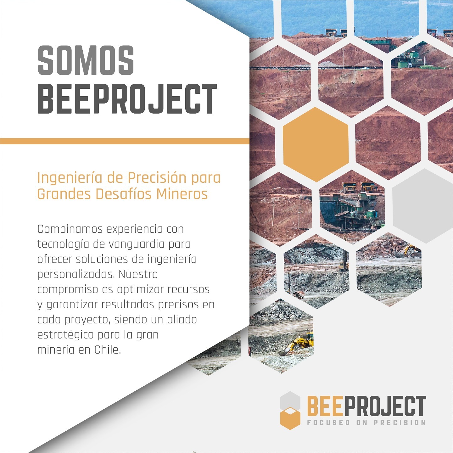 bee-1