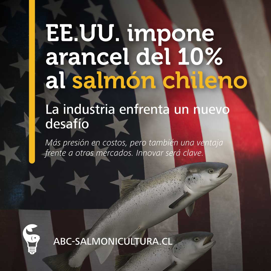 abc-5